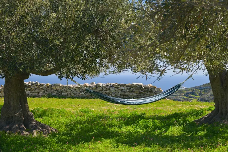 Aqua Vista Sifnos - Cottage with Sea-View Veranda in an Olive Grove – 7