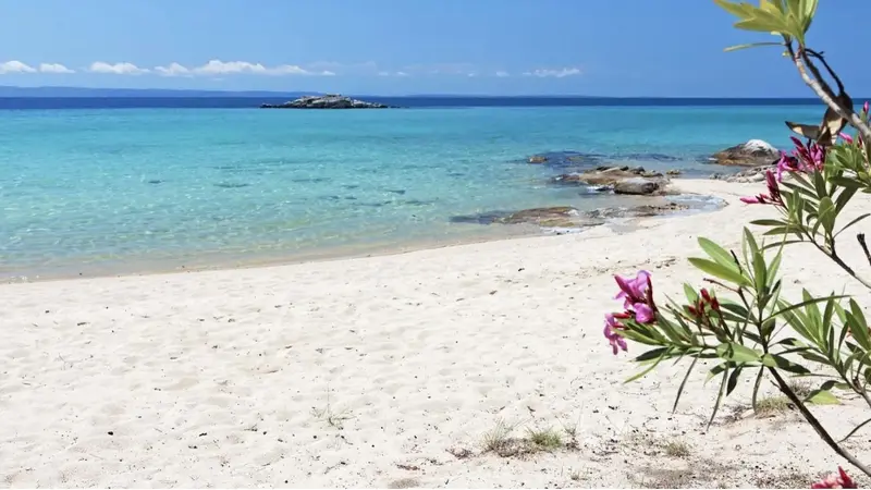 Aqua Vista Sithonia - Casă din Piatră într-o Livadă de Măslini lângă Plaja Elia – 9