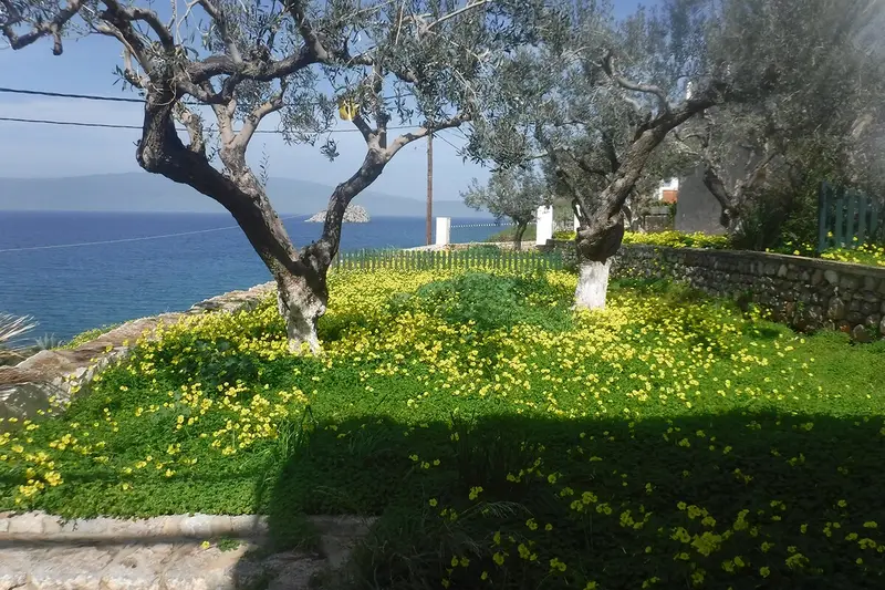 Aqua Vista Hydra - Seaside House with Pine-Shaded Garden in Plakes – 2