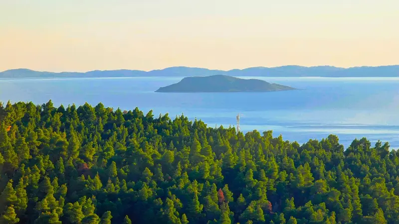 Aqua Vista Sithonia - Casă din Piatră într-o Livadă de Măslini lângă Plaja Elia – 11