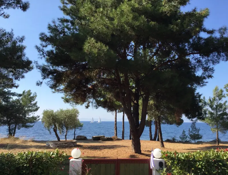 Aqua Vista Thassos - Casă la Malul Mării printre Pini în Skala Rachoniou – 2