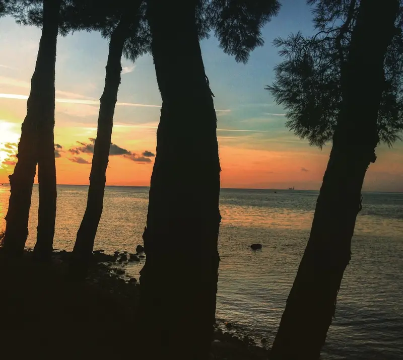 Aqua Vista Thassos - Casă la Malul Mării printre Pini în Skala Rachoniou – 7