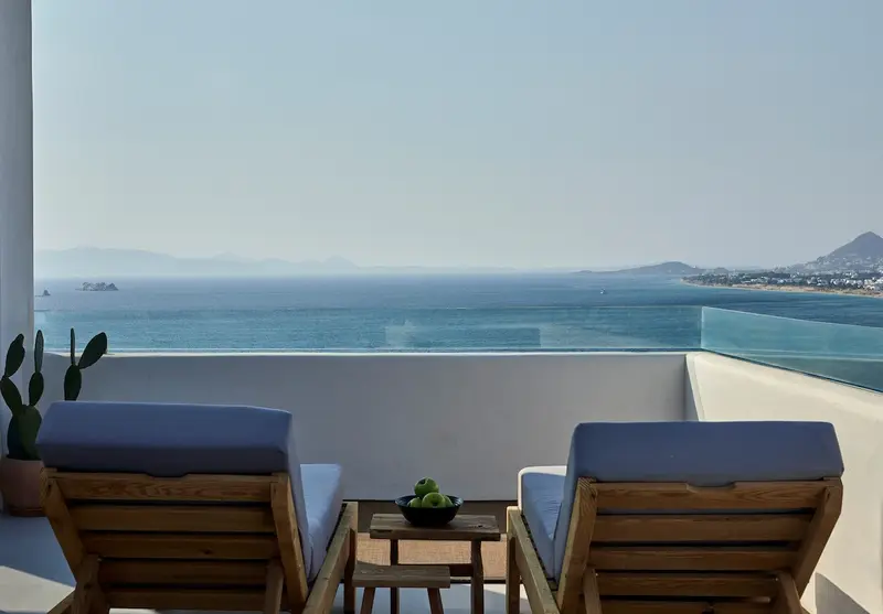 Aqua Vista Naxos - Hillside Villa with Private Pool near Orkos Beach – 3